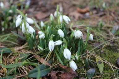 Коли прийде тепло