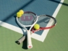 Рейтинг WTA 2026: кто первый в мировом рейтинге теннисисток и зарабатывает миллионы долларов