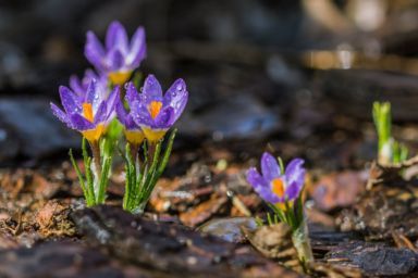 погода винница март 2026