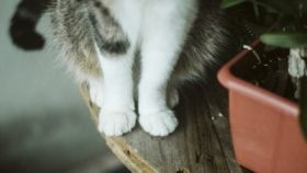 оберег 128 бригады