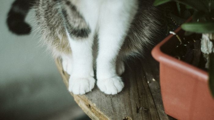 оберег 128 бригады