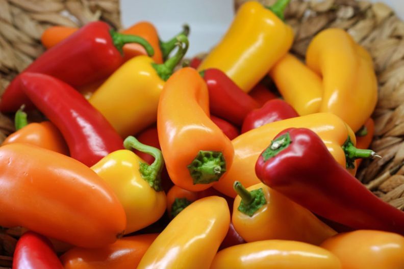 чим обробити насіння перцю перед посівом