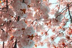 погода на квітень 2026