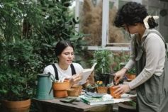 Как приготовить бордоскую смесь