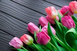 Як доглядати тюльпани у вазі