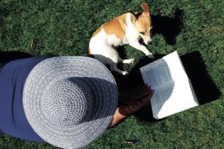 Коли сіяти траву весною