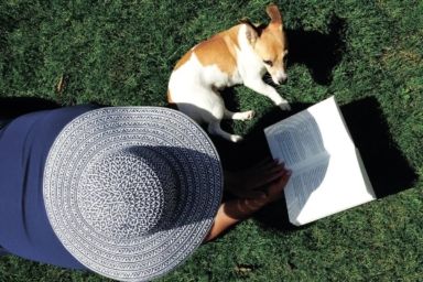 когда сеять траву весной