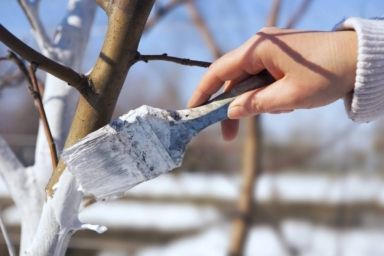 как гасить известь