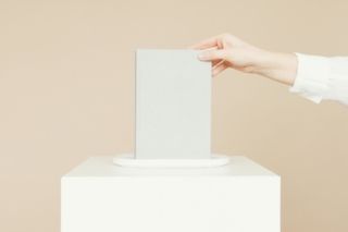 Более половины граждан считают, что нелегальные эмигранты не должны голосовать