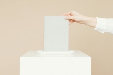 Понад половина громадян вважає, що нелегальні емігранти не повинні голосувати