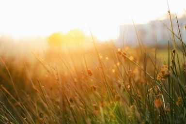 погода на великдень в україні