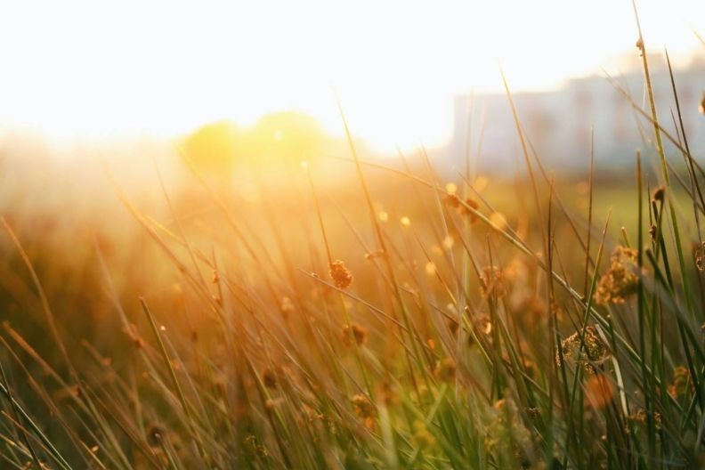 погода на великдень в україні