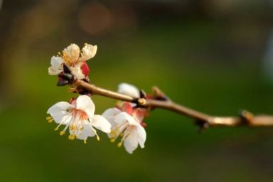 теплого алексея