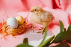 сколько дней до пасхи