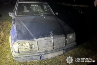 олень борис