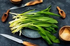 чем полезна черемша