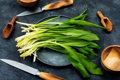 чим корисна черемша