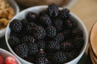 коли і як садити ожину навесні