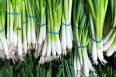 когда садить лук-кущевку весной