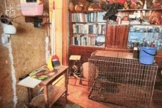 Вовк та мертва лисиця в квартирі на Оболоні