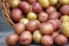 благоприятные дни для посадки картошки в апреле 2026