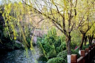 погода в мае 2026