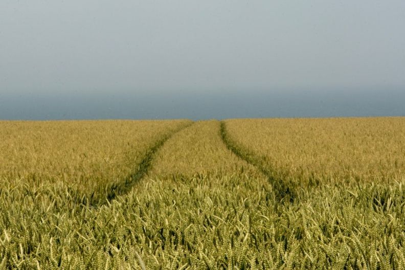 на херсонщині розкладали гроші на земельних ділянках