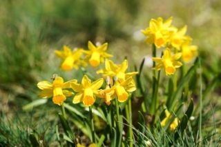 погода в Хмельницком в апреле 2026