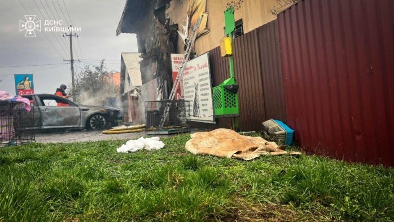 Удар по ветклініці 3 квітня 2026: що з тваринами