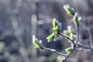 похолодання в україні перед великоднем 2026