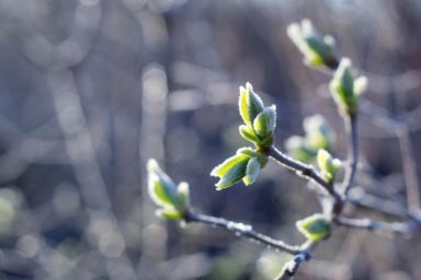 похолодание в украине перед пасхой 2026