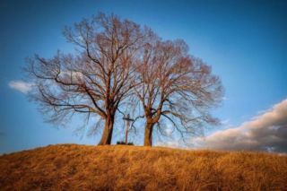 що означає кожен день страсного тижня