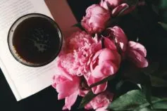 чем подкормить пионы весной