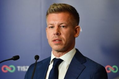 петер мадяр біографія