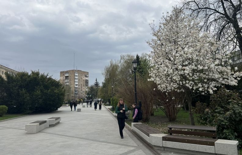 Де побачити цвітіння сакур у Житомирі