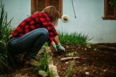 Чи можна садити город на Провідному тижні: прикмети та повір'я