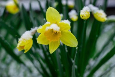 коли потепліє в україні