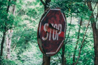 книги про чорнобильську катастрофу