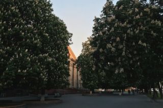 погода в Запорожье на май 2026