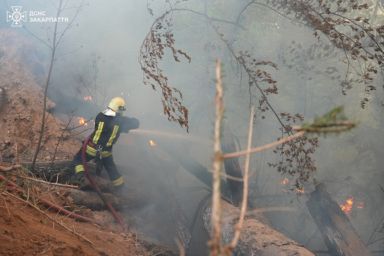 пожежа в карпатах