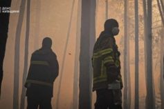 итуація в Зоні відчуження: понад 1100 га охоплено вогнем