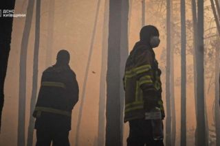 Ситуация в Зоне отчуждения: более 1100 га охвачено огнем,