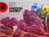 Символ Дня пам’яті та перемоги: що означає червоний мак та звідки з’явилася ідея