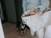 Как и чем вывести жирное пятно из одежды — пять эффективных средств, которые есть на каждой кухне