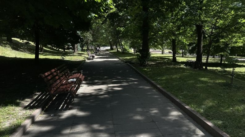 Житомирский Бруклин, олени и подвесной мост: летний гид для родителей Житомир для детей: фонтаны, ролики, животные на экоферме