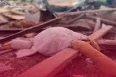 день пам'яті дітей вбитих у війні росії проти україни