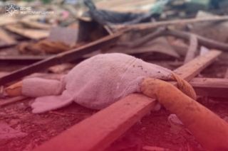 день пам'яті дітей вбитих у війні росії проти україни