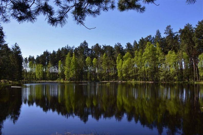 Куди поїхати в Житомирській області з дітьми