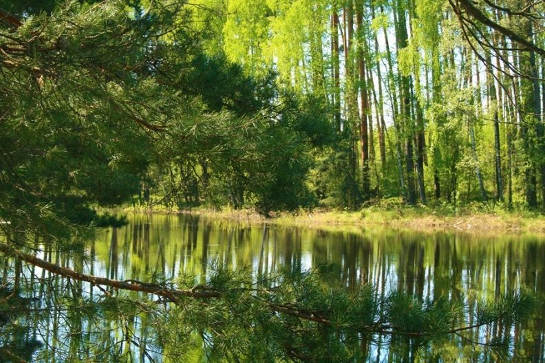 Куди поїхати: Житомирська область приховує дивовижні кар’єри