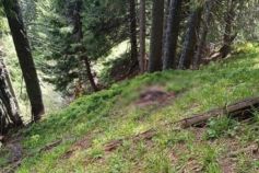 на границе с Румынией обнаружено тело человека